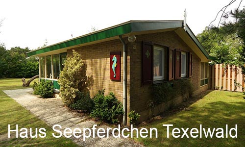 Seepferdchen Texelwald Preview