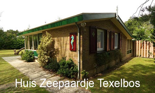 Zeepaardje Texelbos Preview