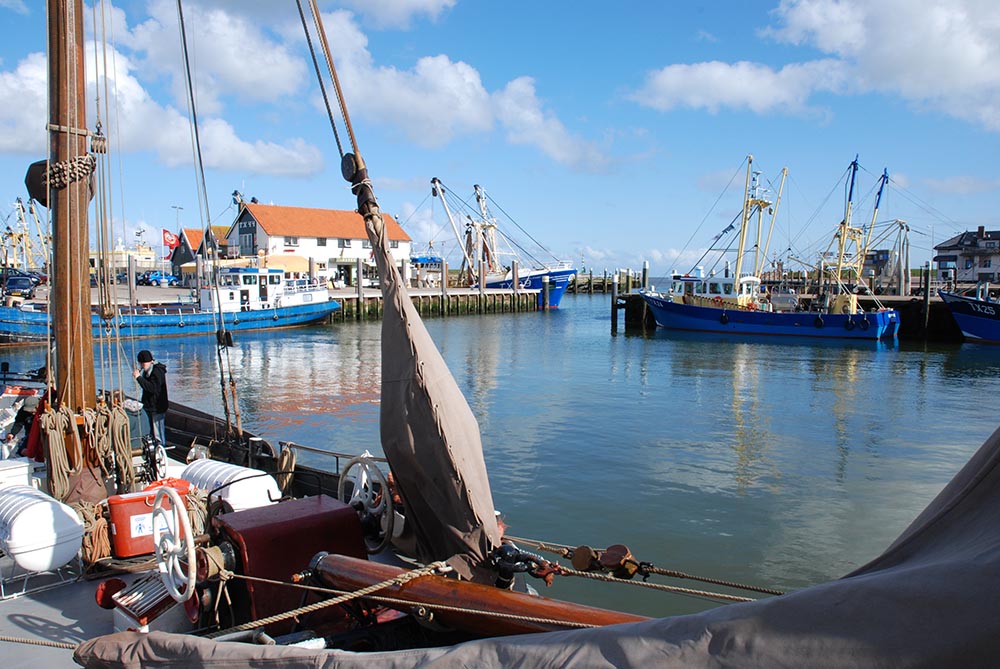 Texel Oudeschild
