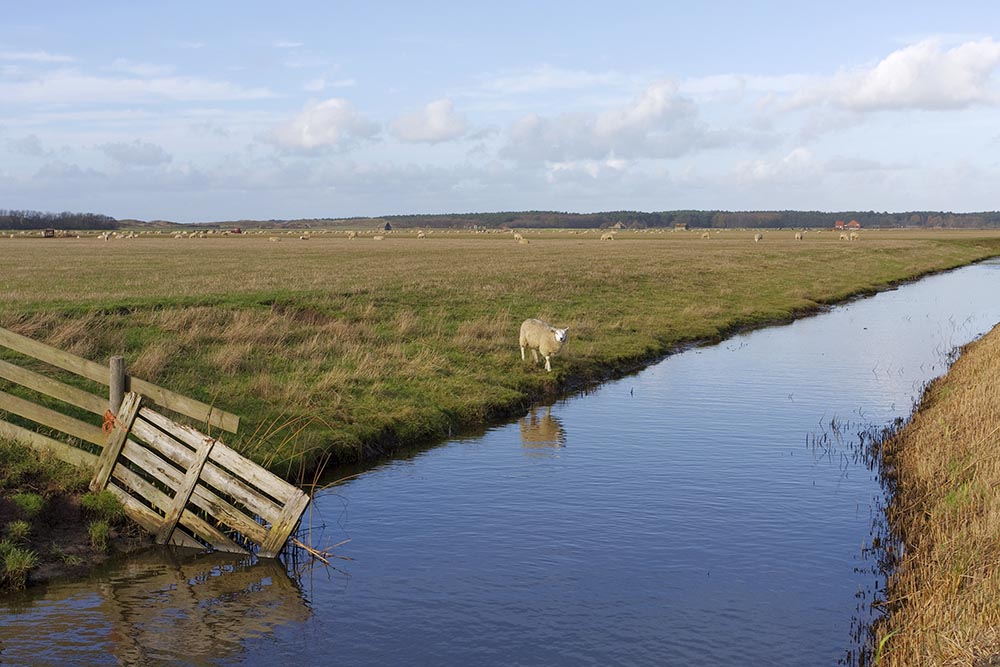 Texel Wasserkanal